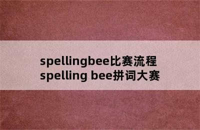 spellingbee比赛流程 spelling bee拼词大赛